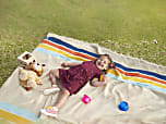 http%3A%2F%2Fcdn.taboola.com%2Flibtrc%2Fstatic%2Fthumbnails%2FSTABLE DIFFUSION OUTCROP%2FESD%2F26cf4a93 49ba 4448 b9df