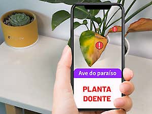 http%3A%2F%2Fcdn.taboola.com%2Flibtrc%2Fstatic%2Fthumbnails%2F0c1743e6c3004e2b6013434d2a380662