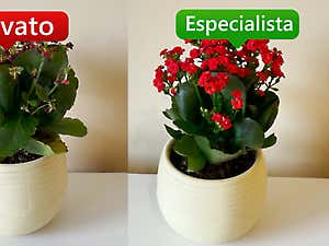 http%3A%2F%2Fcdn.taboola.com%2Flibtrc%2Fstatic%2Fthumbnails%2F65c839063d9db988632cea889f8773df