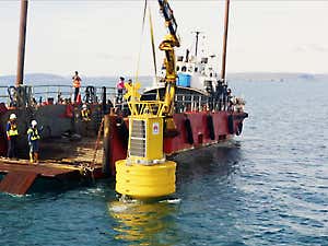 The Ocean Project Bringing Calm After the Storm