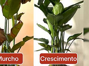 http%3A%2F%2Fcdn.taboola.com%2Flibtrc%2Fstatic%2Fthumbnails%2F81f917c81633be45b91fe1a034527c66