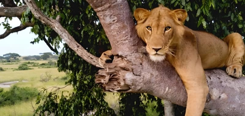 Take Amazing Photos Of Your Family And Friends With An Entry-Level Camera